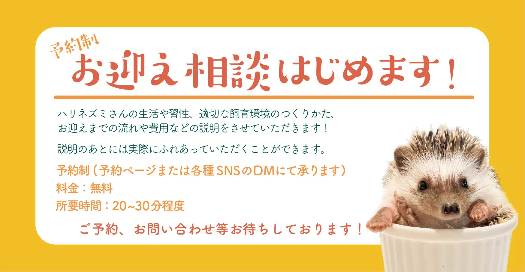 予約制】お迎え相談会を始めます🔰 | はりねずみびれっじ