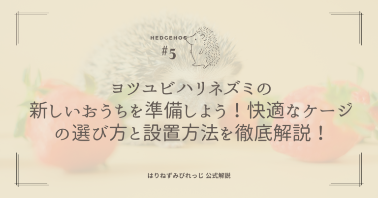 hedgehog5 (1)